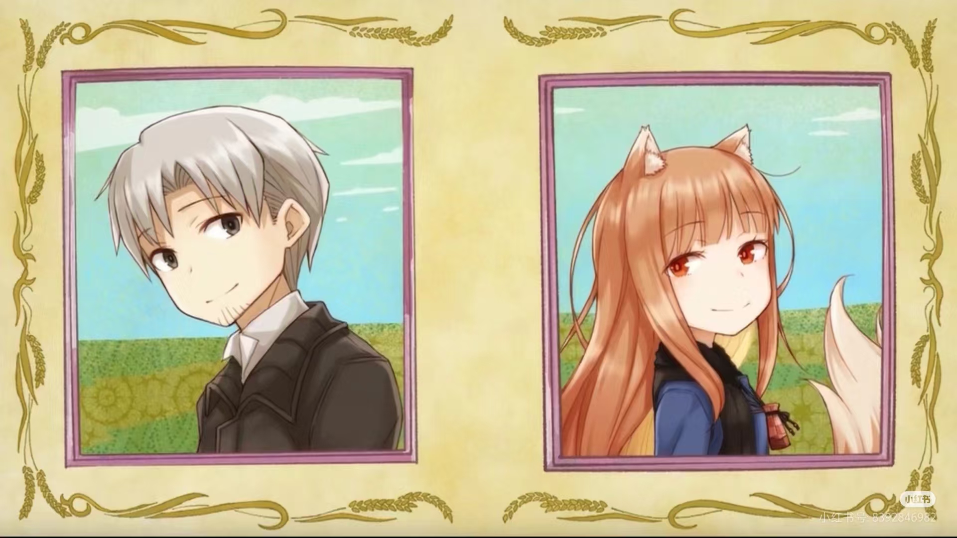 这是一个测试文章